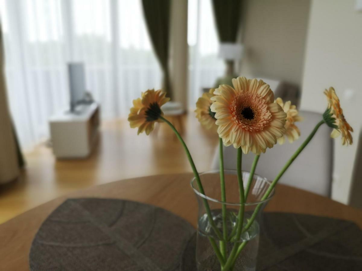 Luxury Apartments Druskininkai Kültér fotó