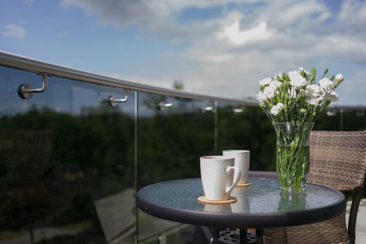 Luxury Apartments Druskininkai Kültér fotó